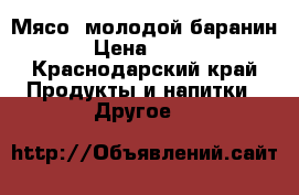 Мясо  молодой баранин › Цена ­ 255 - Краснодарский край Продукты и напитки » Другое   